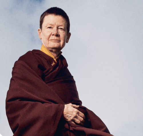 Pema Chodron on Remaining Like a Log