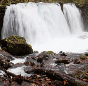 The Seven-Point Mind Training