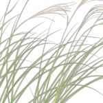 How Empty Is Emptiness?