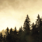 Michele Levey on The Power of Loving Kindness