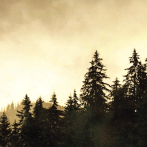 Michele Levey on The Power of Loving Kindness