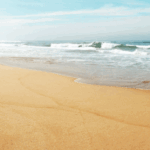 Mindfulness Exercise