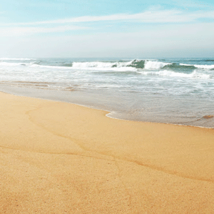 Mindfulness Exercise