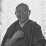 Ringu Tulku on Dealing with Emotions: The Vajrayana Approach