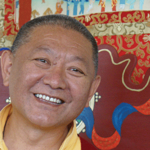 Confusion Arises as Wisdom Ringu Tulku