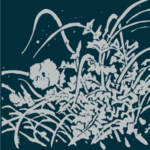 Hidden Treasure - Beneath a Single Moon