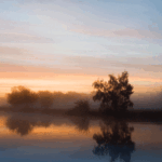 Heartache, Headache, and Meditation: What Are the Signs of a Practice Going Wrong?