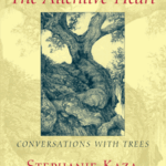 Hidden Treasure - The Attentive Heart