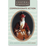 Words of Advice from Chatral Rinpoche