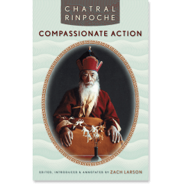 Words of Advice from Chatral Rinpoche