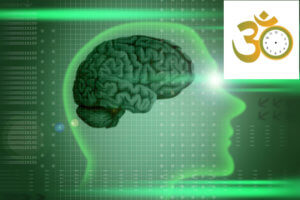 Buddhism and Science: The Mind and Life Conference