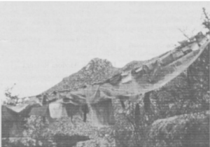 Copper Colored Mountain, Chimphu