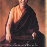 Dharma in its Profundity