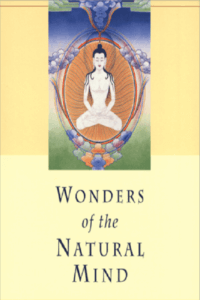 Wonders of the Natural Mind