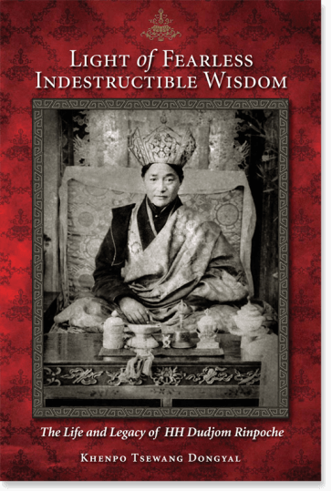 book cover of fearless light