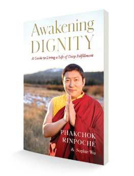 Awakening Dignity