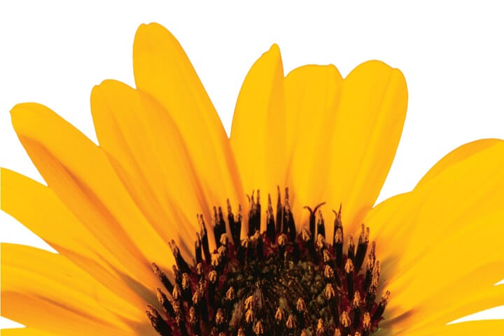 Hidden Treasure – Waking Up to What You Do