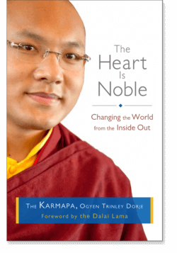 The Discovery and Recognition of Ogyen Trinley Dorje