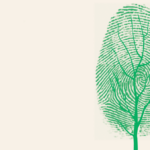 A Reader’s Guide to Greening Your Bookshelf