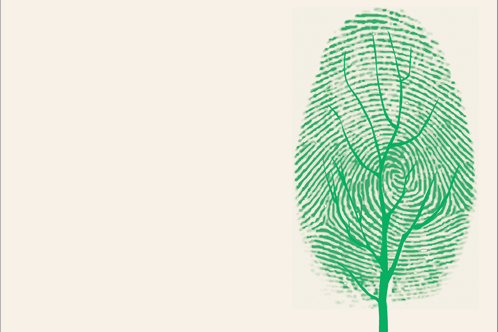 A Reader’s Guide to Greening Your Bookshelf