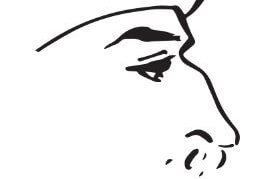 Jalaluddin Rumi : Persia’s Greatest Mystic Poet