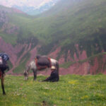 An Excerpt from Coming Home from Tibet