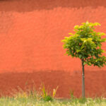 practice of mindful photography