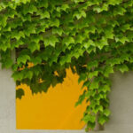 practice of mindful photography