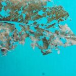 practice of mindful photography