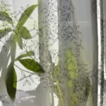 practice of mindful photography