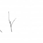 practice of mindful photography