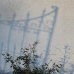 practice of mindful photography