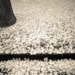 practice of mindful photography