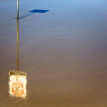 practice of mindful photography