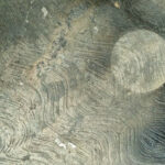 practice of mindful photography