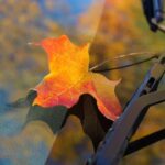 practice of mindful photography