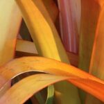 practice of mindful photography