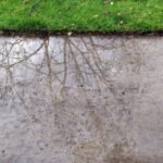 practice of mindful photography