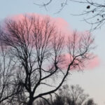 practice of mindful photography