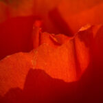 practice of mindful photography