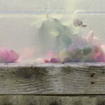 practice of mindful photography