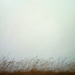 practice of mindful photography