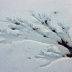 practice of mindful photography