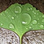 practice of mindful photography