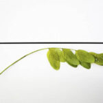 practice of mindful photography