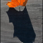 practice of mindful photography