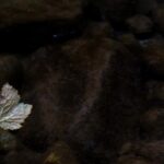 practice of mindful photography