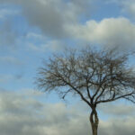 practice of mindful photography