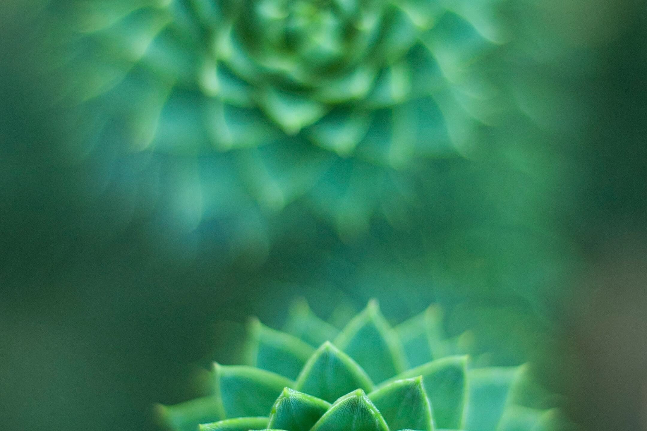 Creating Mandalas Printable Page Excerpt