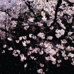 This Deepest Self | An Excerpt from The Truth of This Life